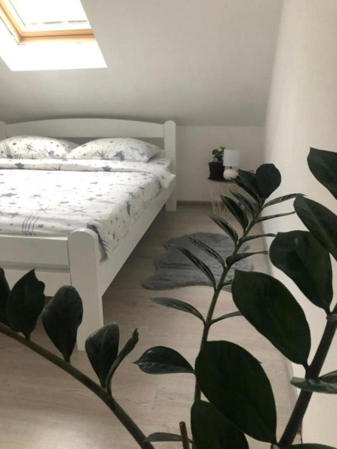 Peaceful Apartment 플루지네 외부 사진